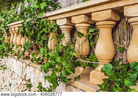 Ivy On The Stone Railing Garden In Mallorca Balearic Islands Spain.