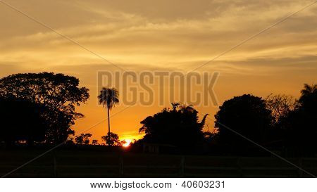 Rosso tramonto