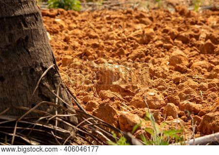 Ploughed Land Ready For Cultivation, Kolar, Karnataka, India. Agricultural Field Ready For Sowing.