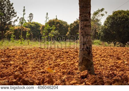 Ploughed Land Ready For Cultivation, Kolar, Karnataka, India. Agricultural Field Ready For Sowing.