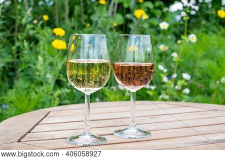 Tasting Of Dutch Sparkling Rose And Dry White Wine On Vineyard In Summer