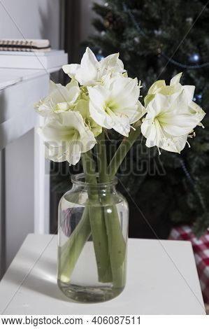 Bouquet Of White Lilies In A Tall Glass Vase On A Beige Table Against A Gray Wall. Copy Space. Fresh