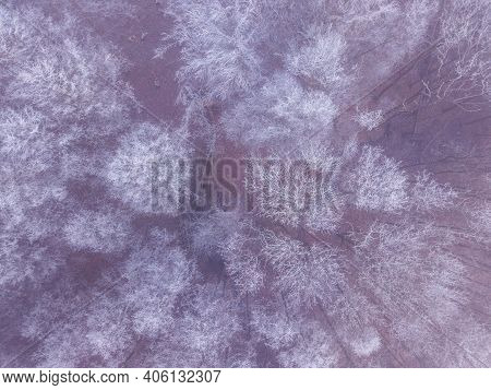 Aerial Top Down View Of Beautiful Winter Forest Treetops. Trees Covered With Frost. Winter Nature, F