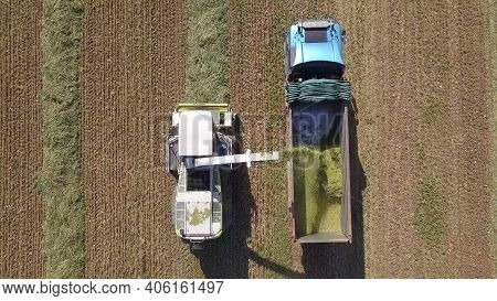 Combine Picking And Shredding Harvested Wheat For Silage And Unloads Onto A Double Trailer Truck, On