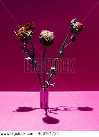 Three Dried Flower On A Vase On A Pink Background