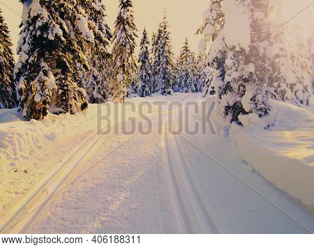 Cross Country Skiing Slopes Running Through An Idyllic Winter Forest With Snow Capped Trees On A Sun