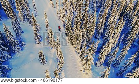 Woman Cross Country Skiing Through An Idyllic Winter Wonderland With Snow Capped Trees.