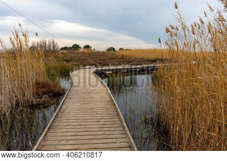 View Of A Wooden Walkway In The Natural Reserve Of Plants And Birds La Marjal Els Moros In The Town 