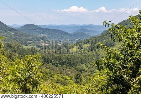 Forest Over Mountain, Valley And Farm Plantation