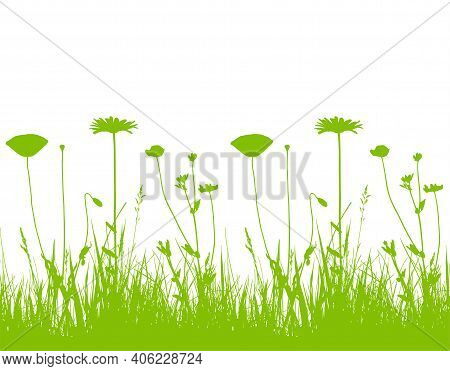 Vector Seamless Border With Oxeye Daisy, Corn Poppy And Meadow Vetchling In Grass Isolated On White 