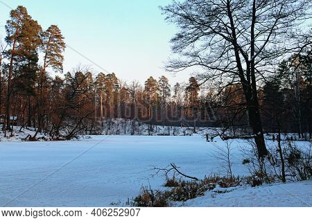 Scenic Winter Season In The Pushcha-vodytsia. Picturesque Landscape Of Frozen Lake And Shore With Tr