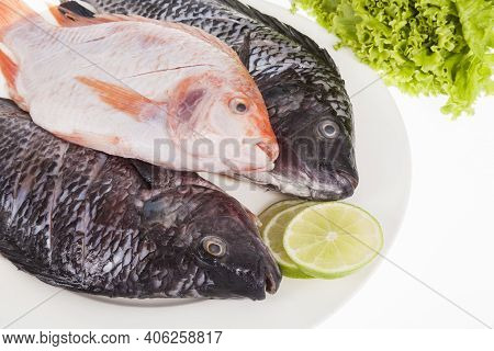 Fish, Red And Silver Mojarra On White Background.