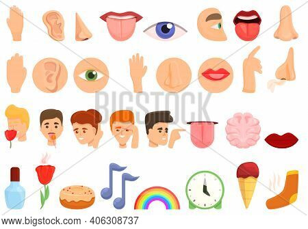 Senses Icons Set. Cartoon Set Of Senses Vector Icons For Web Design