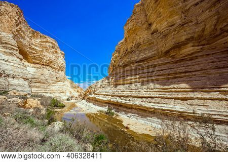 The magnificent gorge Ein Avdat is the most beautiful in the Negev desert.  Israel. The ravine is formed by the waters of the Qing River. Start route. The walls of the gorge are corroded by caves