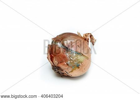 The Picture Of A Mouldy Onion Because Of The Wrong Storage In Hdpe Sack. Rotten And Uneatable. Isola