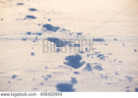 Human Traces On A Snow. Winter Background.
