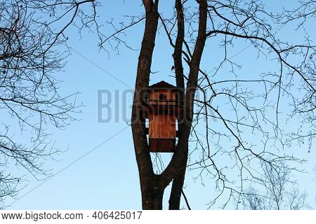 Big Wooden Bird House Between Two Tree Trunks. Blue Sky In The Background. Concept Of Landscape And 