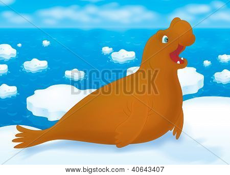 Havet elefant