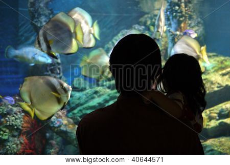 父と子の水槽