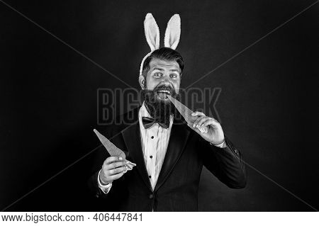 Here Comes Easter Bunny. Bearded Man With Bunny Ears Eat Carrots. Bunny Costume Accessory. Symbol Of