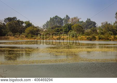 Scenic View Of The Wetland In Wilderness, Karnataka, India. Swamp Area In Reserve Forest