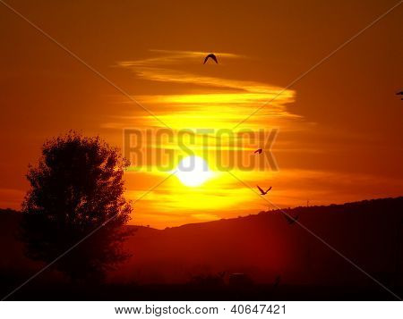 Puesta de sol
