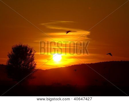 Puesta de sol