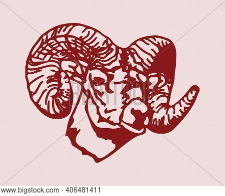 Sketch Of Indian Big Horn Sheep Or Goat Outline Editable Illustration
