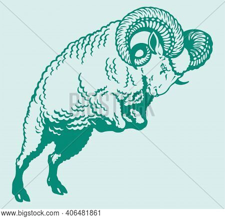 Sketch Of Indian Big Horn Sheep Or Goat Outline Editable Illustration