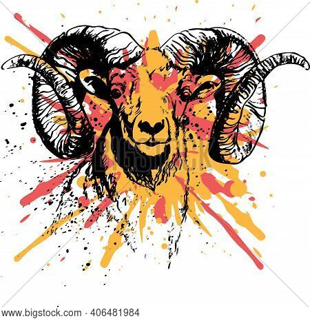 Sketch Of Indian Big Horn Sheep Or Goat Outline Editable Illustration