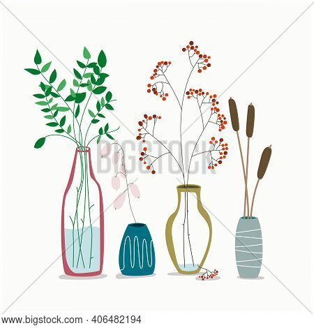 Set Of Minimalistic Elegant Glass Vases With Drset Of Minimalistic Elegant Glass Vases With Dried Pl