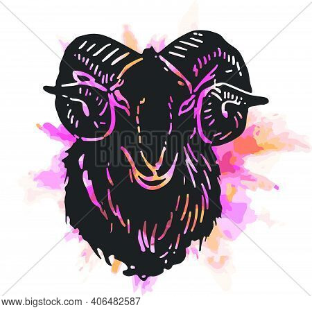 Sketch Of Indian Big Horn Sheep Or Goat Outline Editable Illustration