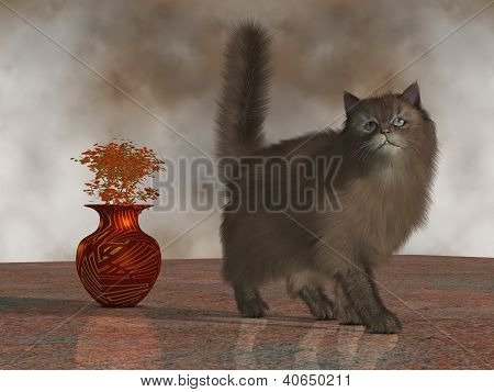 루 퍼스 집 고양이