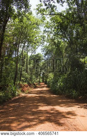 Beautiful View Of A Dirt Road Going Inside A Dense Forest