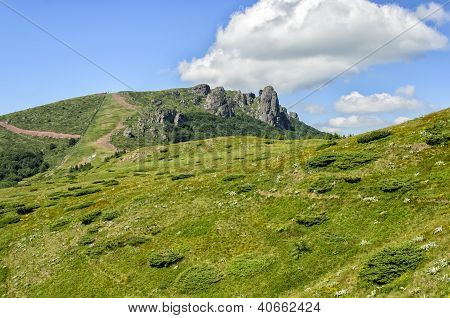 Berg