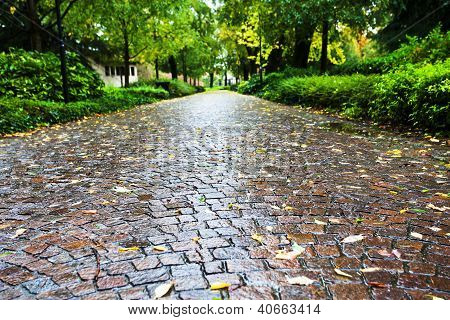 Мокрый булыжника камень путь в Parco Dell Арена, Падуя