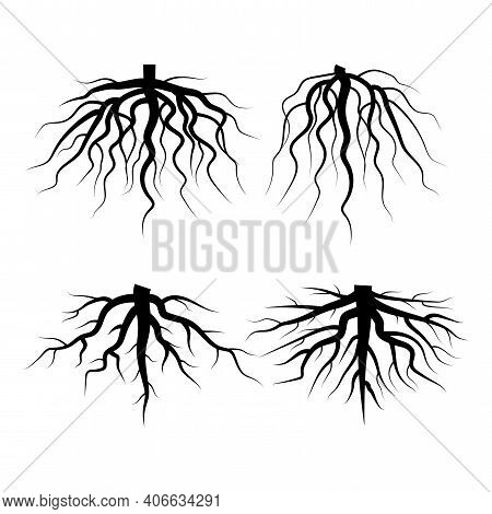 Abstract Roots. Doodle Vector Illustration. Abstract Background. Nature Illustration. Stock Image. E