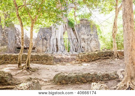 Gede-Ruinen