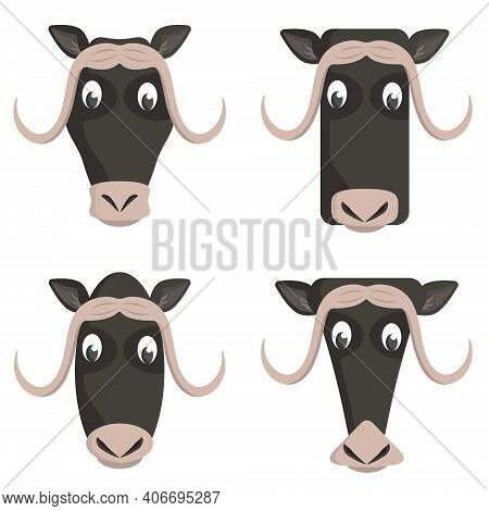 Set Of Cartoon Muskoxen. Different Shapes Of Animal Heads.