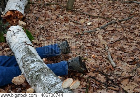 Dead Man Covered With A Tree. The Tree Turned Upside Down And Injured Itself, Falling While Walking 