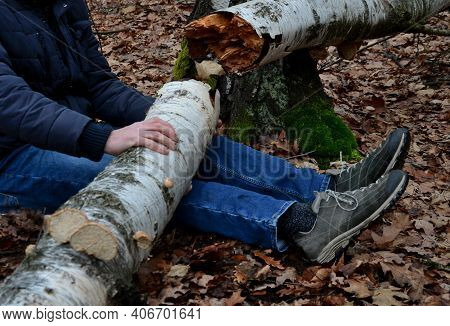 Dead Man Covered With A Tree. The Tree Turned Upside Down And Injured Itself, Falling While Walking 