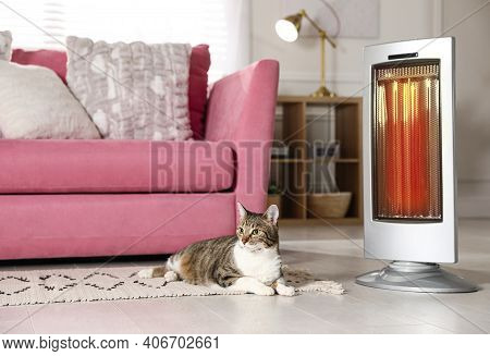Cute Cat On Floor Near Modern Electric Ultrared Heater Indoors