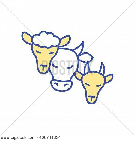 Livestock Animals Rgb Color Icon. Farm Cattle Care. Head Of Cow, Lamb And Sheep. Domesticated Animal
