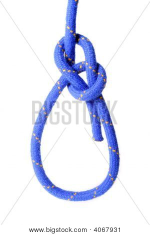 ปม bowline