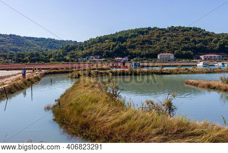 View Of The Strunjan Nature Park In Slovenia