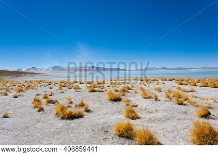 Bolivian Lagoon Landscape,bolivia