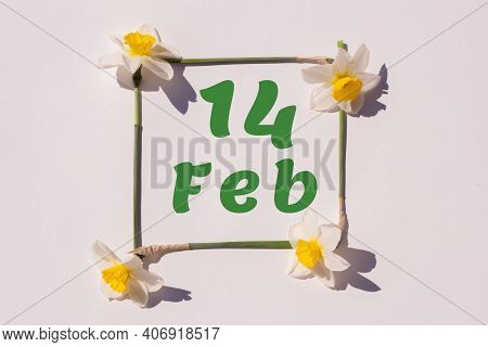 February 14th. Day 14 Of Month, Calendar Date. Frame From Flowers Of A Narcissus On A Light Backgrou