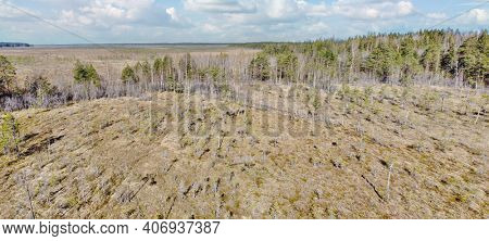 aerial view of northern peat swamp under sky with clowds
