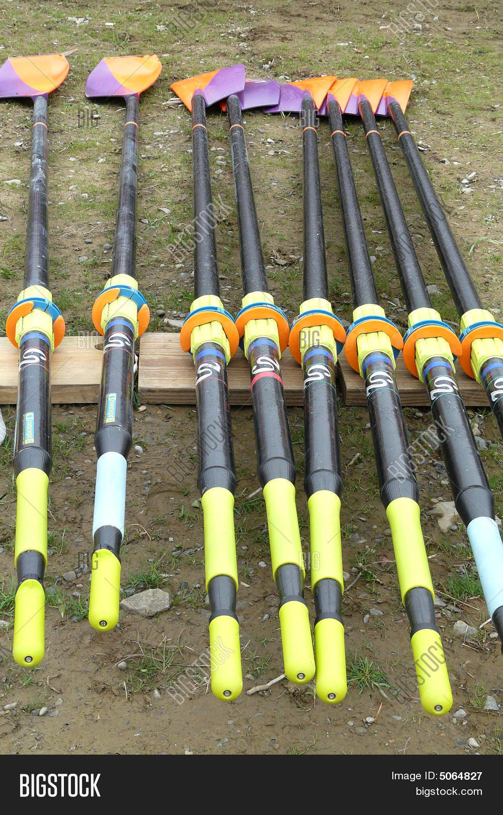 Crew Rowing Oars Image & Photo (Free Trial) Bigstock