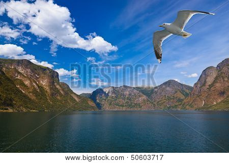 Fjord Naeroyfjord In Norway - Famous Unesco Site